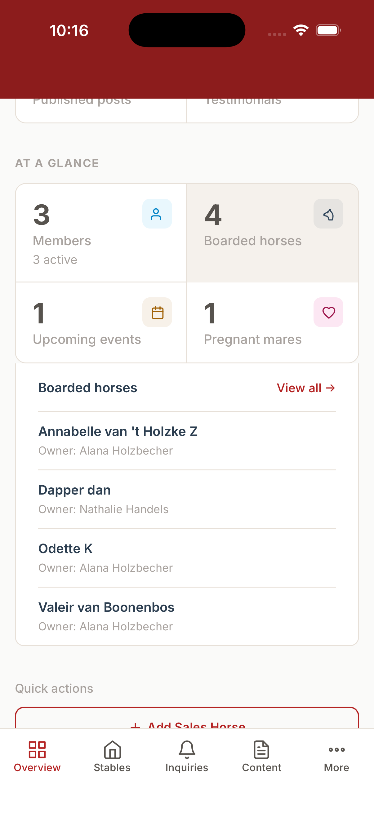 Overview dashboard boarded-horses card on mobile